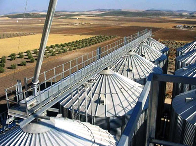 Grain scraper chain conveyor